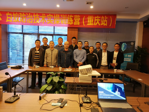 白蚁防治技术实操训练营(重庆站)