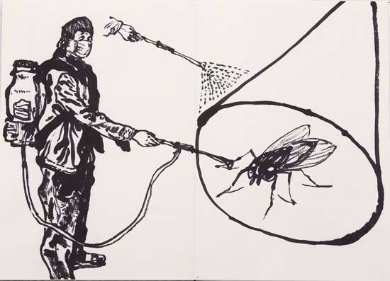重庆灭白蚁 白蚁的危害有哪些？