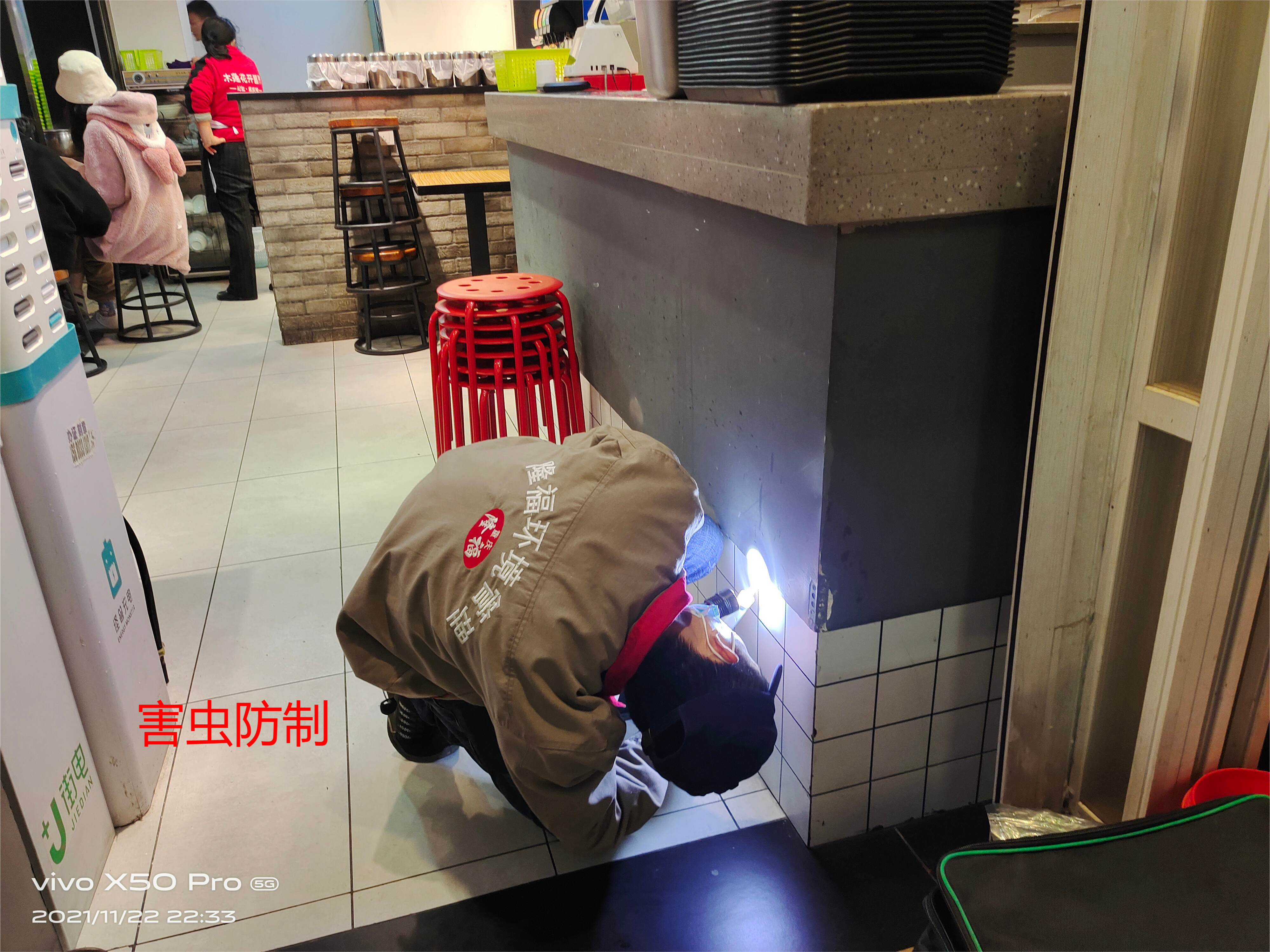 害虫防控现场