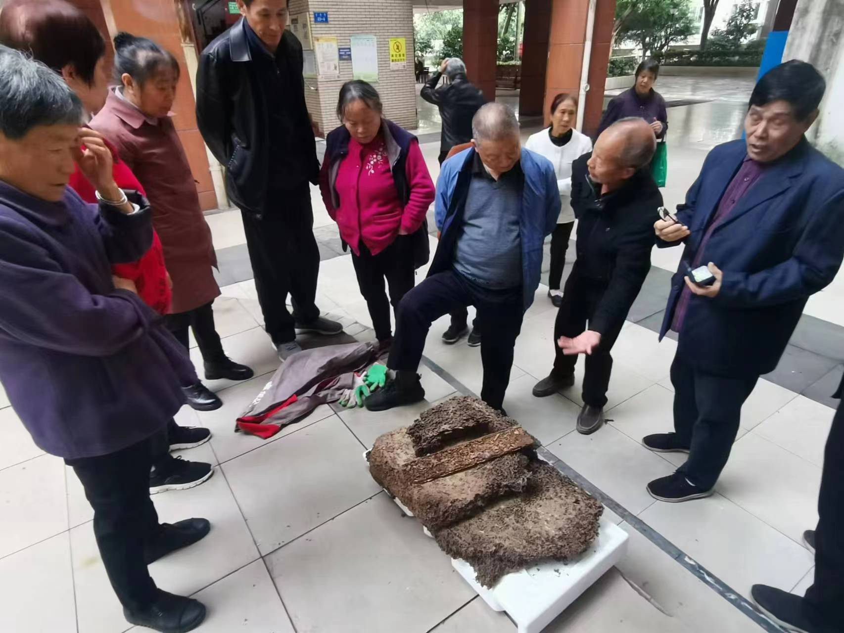 家庭白蚁治理现场