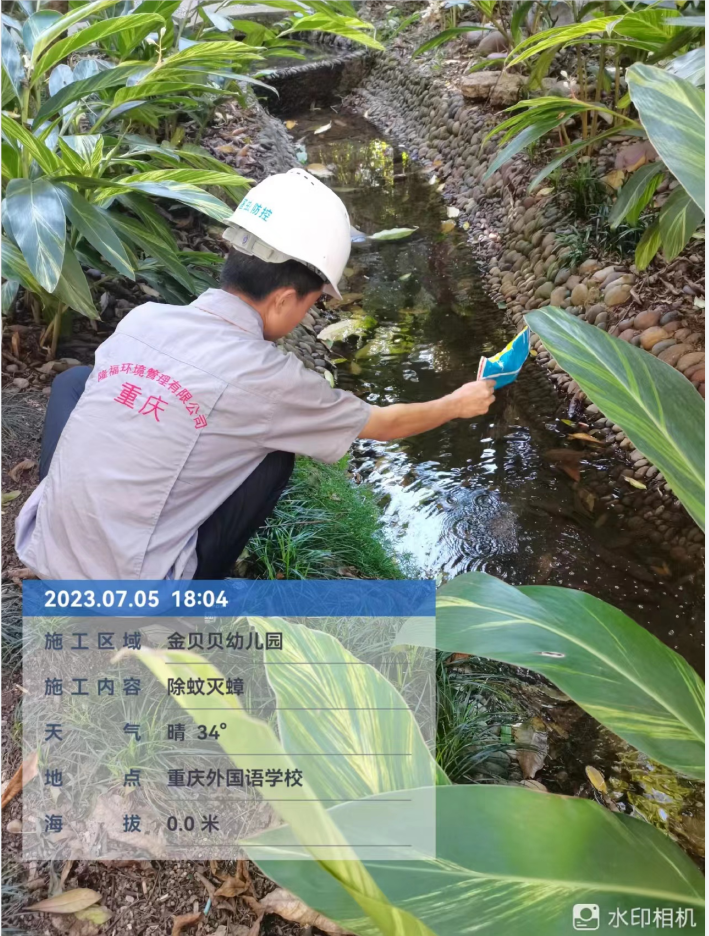 害虫防控现场