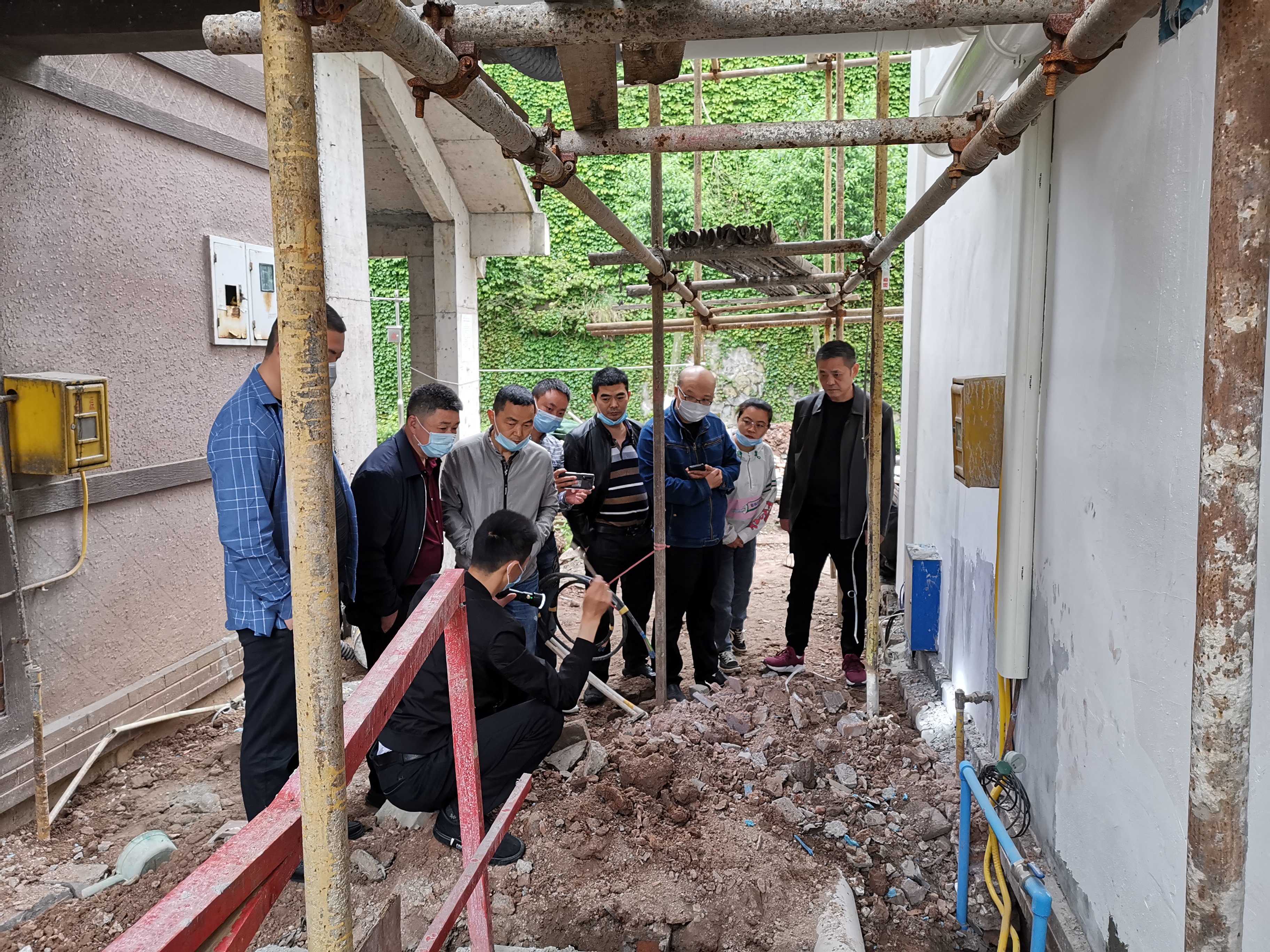 建筑白蚁防治现场培训
