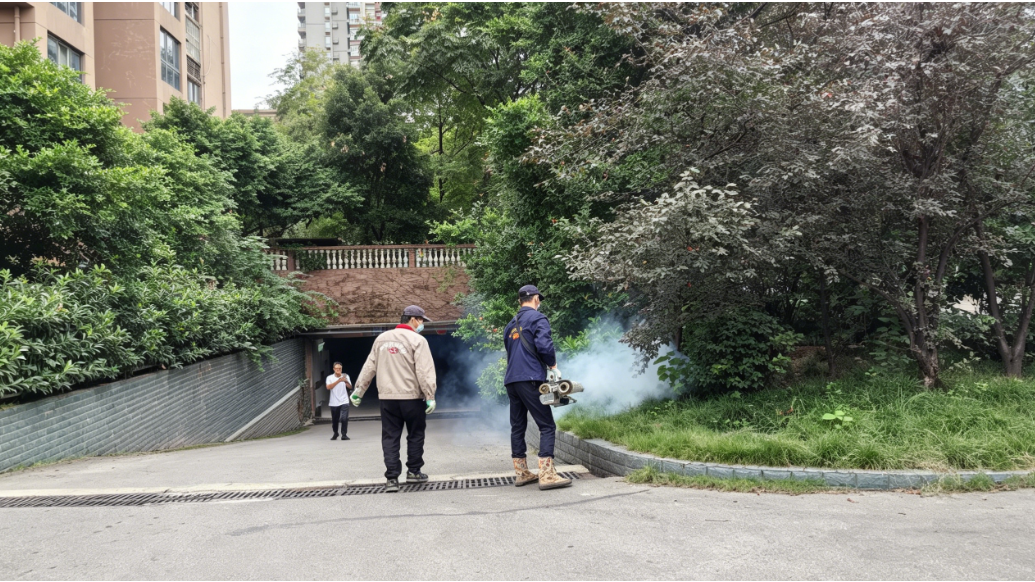 害虫防控现场(基孔肯雅热消杀）